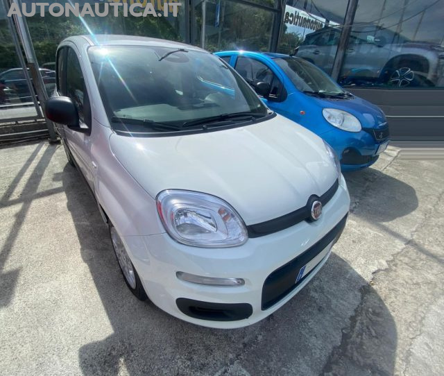 Fiat Panda 1.0 FireFly S&S Hybrid Icon 70cv - foto 4 di 4