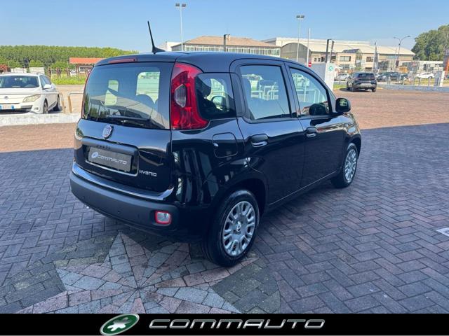 Fiat Panda 1.0 FireFly S&S Hybrid Pandina - foto 4 di 4