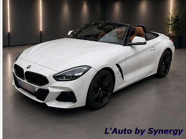 BMW Z4 sDrive20i Msport usato a COGOLLO DEL CENGIO