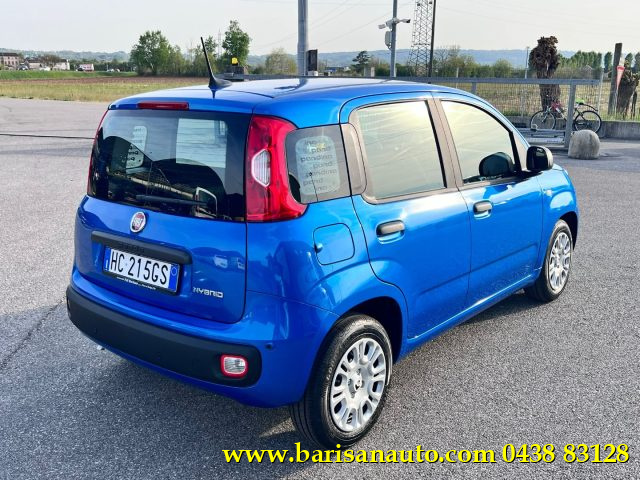 Fiat Panda 1.0 FireFly S&S Hybrid Icon - foto 3 di 4