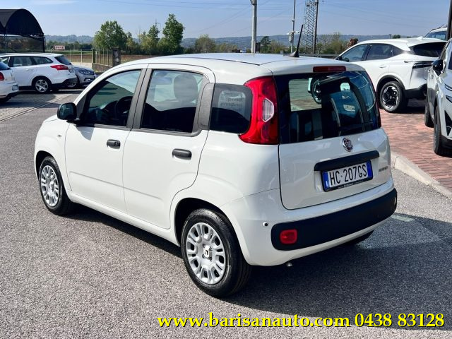 Fiat Panda 1.0 FireFly S&S Hybrid Icon - foto 4 di 4