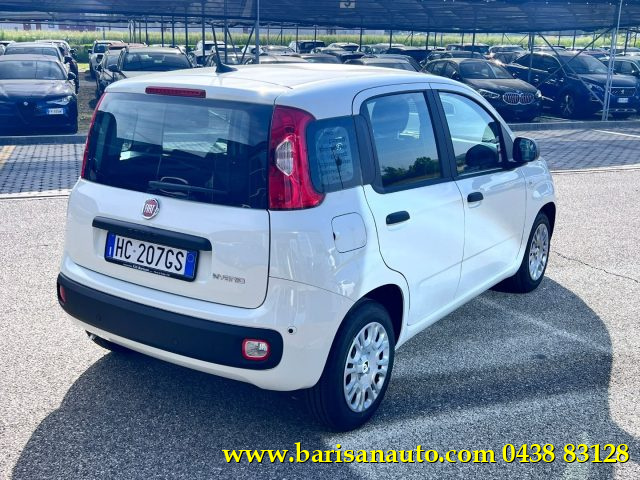 Fiat Panda 1.0 FireFly S&S Hybrid Icon - foto 3 di 4