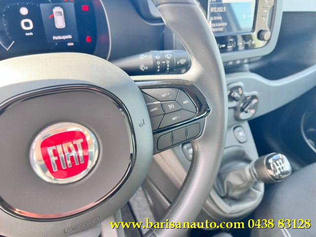 Fiat Panda 1.0 FireFly S&S Hybrid Icon km 0 a PIEVE DI SOLIGO
