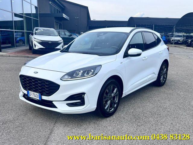Ford Kuga 1.5 EcoBlue 120 CV aut. 2WD ST-Line usato a PIEVE DI SOLIGO