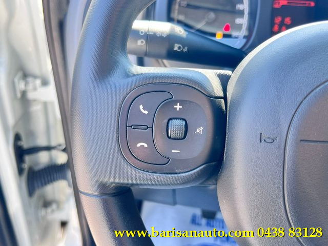 Fiat Panda 0.9 TwinAir Turbo S&S 4x4 Wild usato a PIEVE DI SOLIGO