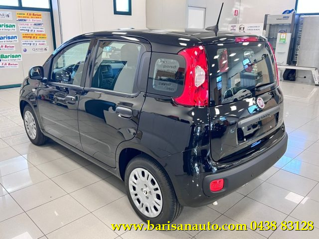 Fiat Panda 1.0 FireFly S&S Hybrid Icon km 0 a PIEVE DI SOLIGO
