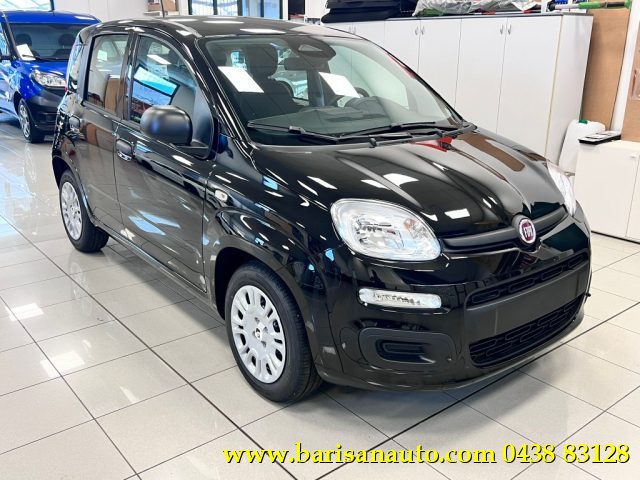 Fiat Panda 1.0 FireFly S&S Hybrid Icon km 0 a PIEVE DI SOLIGO