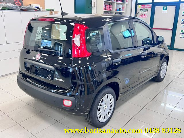 Fiat Panda 1.0 FireFly S&S Hybrid Icon - foto 3 di 4