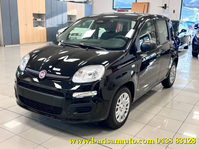 Fiat Panda 1.0 FireFly S&S Hybrid Icon km 0 a PIEVE DI SOLIGO