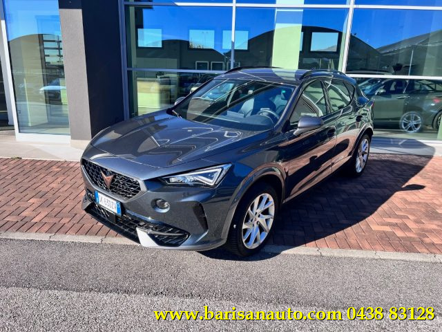 CUPRA Formentor 2.0 TDI 4Drive DSG usato a PIEVE DI SOLIGO