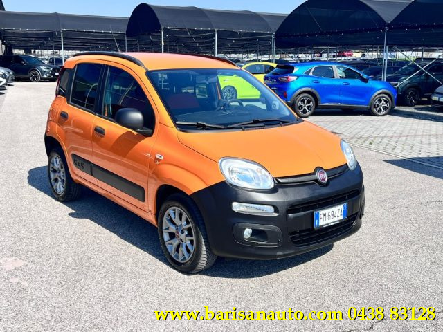 Fiat Panda 1.3 MJT 4x4 Pop Van 2 posti usato a PIEVE DI SOLIGO