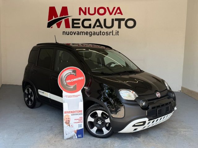 Fiat Panda Cross Pandina Cross 1.0 FireFly S&S Hybrid usato a ALCAMO