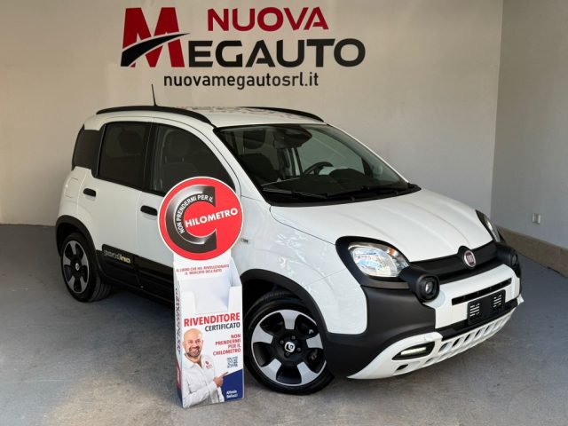 Fiat Panda Cross Pandina Cross 1.0 FireFly S&S Hybrid usato a ALCAMO