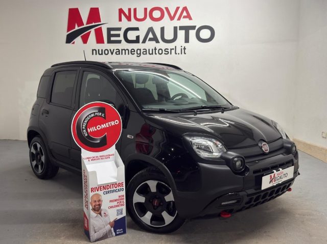 Fiat Panda Cross 1.0 FireFly S&S Hybrid usato a ALCAMO