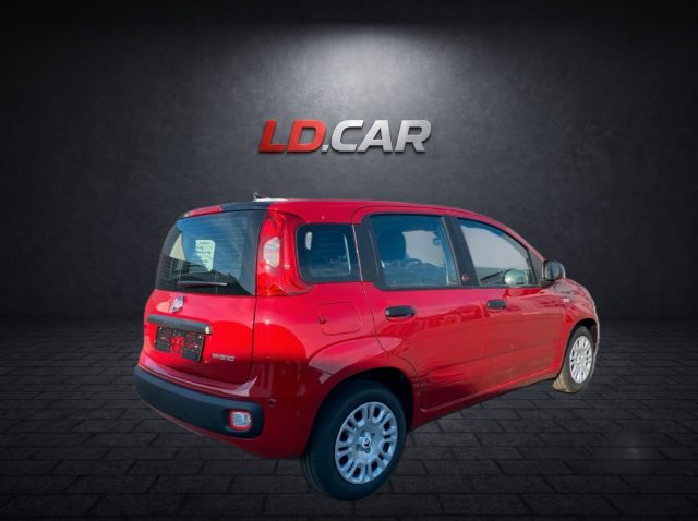 Fiat New Panda 1.0 FireFly 69cv Hybrid Pandina Pop Km 0 Torino - foto 3 di 4