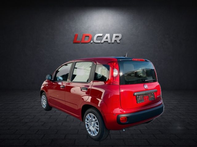 Fiat New Panda 1.0 FireFly 69cv Hybrid Pandina Pop Km 0 Torino - foto 4 di 4