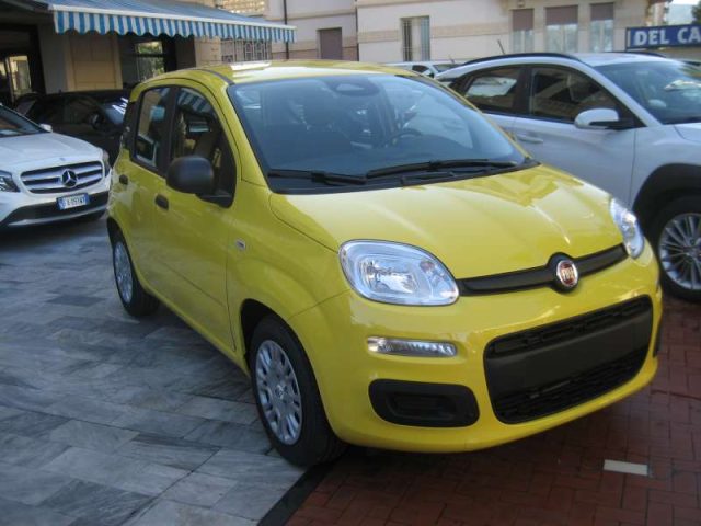 Fiat Panda PANDINA 1.0 FIREFLY 65CV HYBRID POP - foto 2 di 24