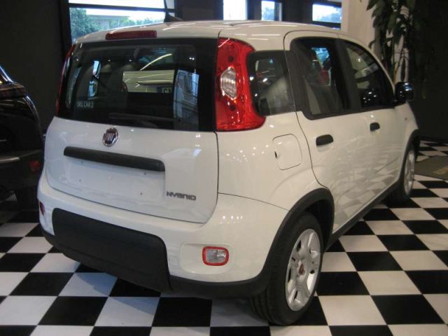 Fiat New Panda 1.0 FIREFLY S-S HYBRID CITY LIFE - foto 2 di 4