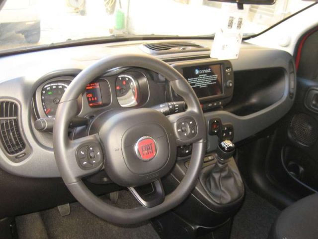 Fiat New Panda CROSS 1.0 FIREFLY S-S HYBRID usato a ALBISSOLA MARINA