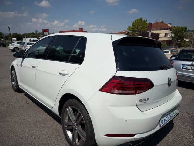 Volkswagen Golf 1.6 TDI 115 CV 5p. Sport R-LINE - foto 4 di 4