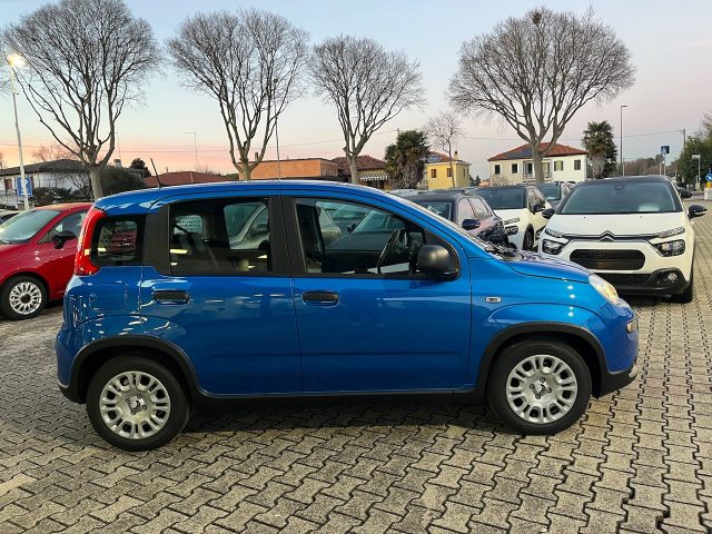 Fiat Panda 1.0 FireFly S&S Hybrid #Nuovo.Modello - foto 4 di 4