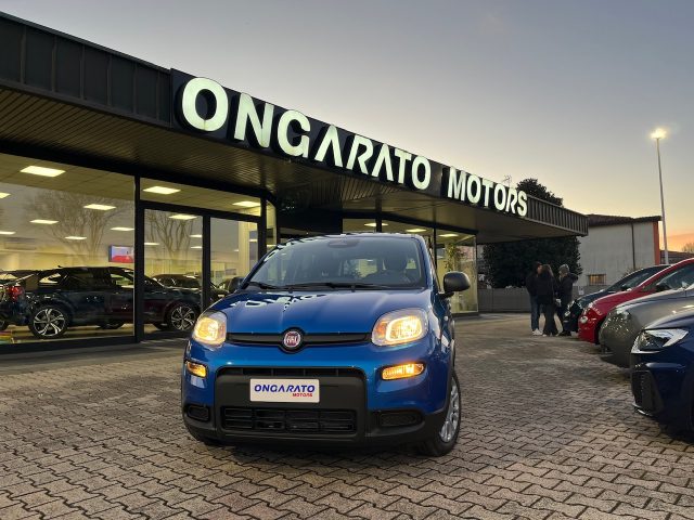Fiat Panda 1.0 FireFly S&S Hybrid #Nuovo.Modello km 0 a MIRANO