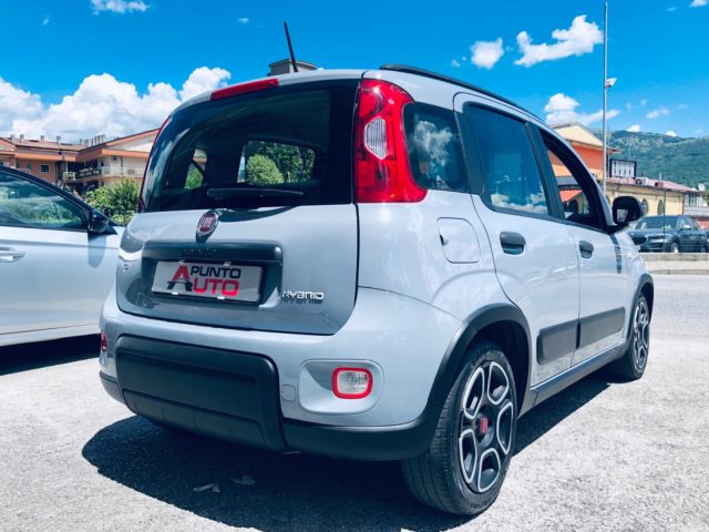 Fiat Panda 1.0 FireFly S&S Hybrid City Life - foto 3 di 4