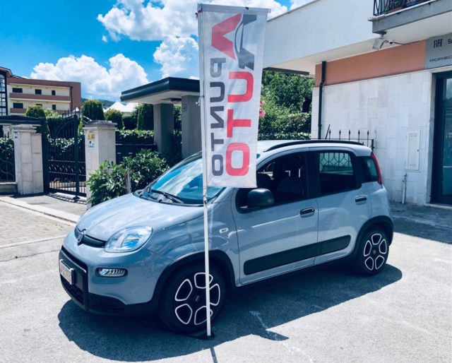 Fiat Panda 1.0 FireFly S&S Hybrid City Life usato a ISERNIA