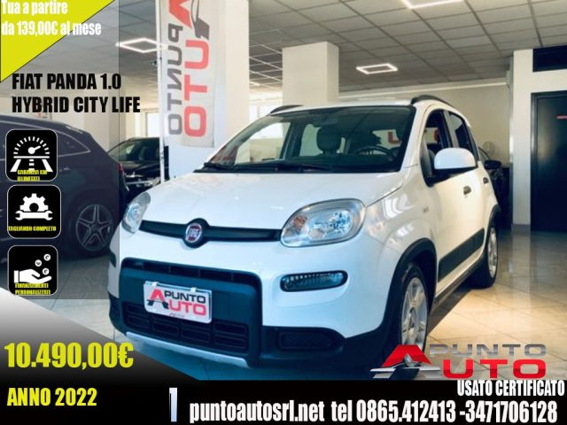 Fiat Panda 1.0 FireFly S&S Hybrid City Life usato a ISERNIA