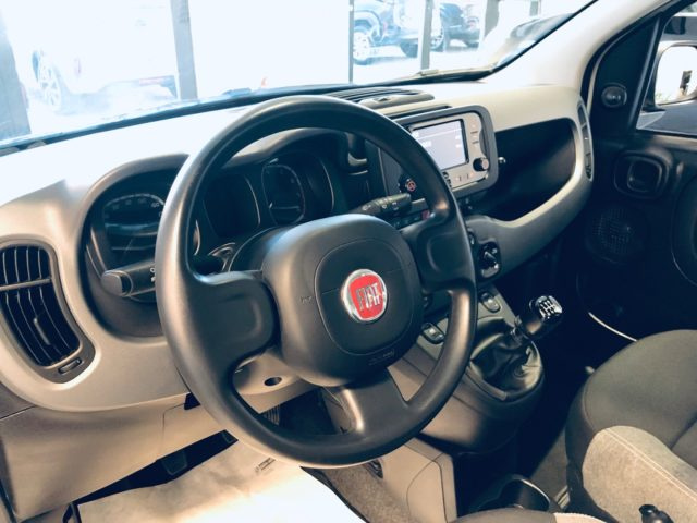 Fiat Panda 1.0 FireFly S&S Hybrid City Life, del 2022, 45.000 km, in vendita a Isernia (IS)