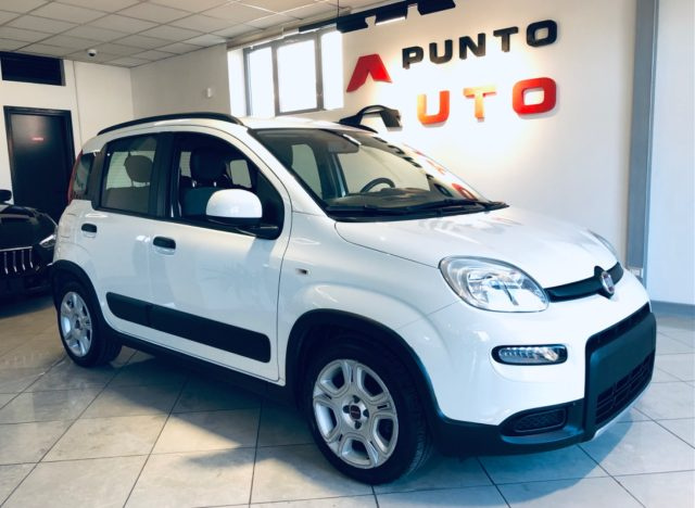 Fiat Panda 1.0 FireFly S&S Hybrid City Life usato a ISERNIA