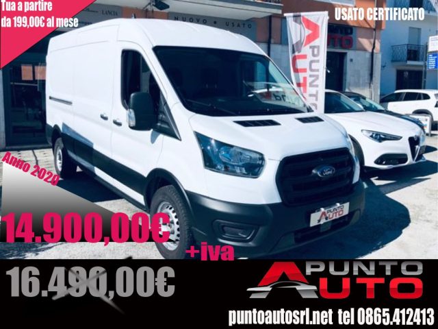 Ford Transit 350 2.0TDCi EcoBlue 170 aut. PL-TM Furgone Entry usato a ISERNIA