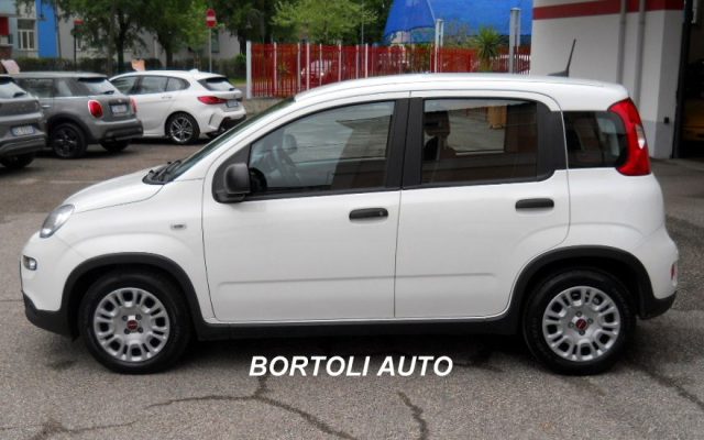 Fiat Panda 1.0 HYBRID 15.000 KM FIREFLY - foto 3 di 4