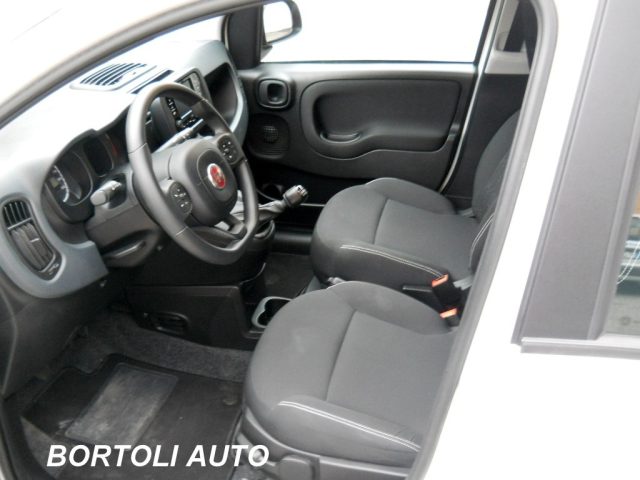 Fiat Panda 1.0 HYBRID 15.000 KM FIREFLY usato a MIRANDOLA