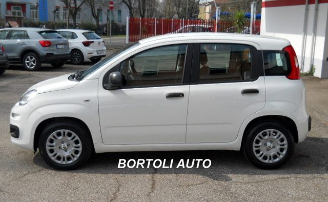 Fiat Panda KM ZERO 1.0 HYBRID VARI MODELLI DISPONIBILI - foto 3 di 4
