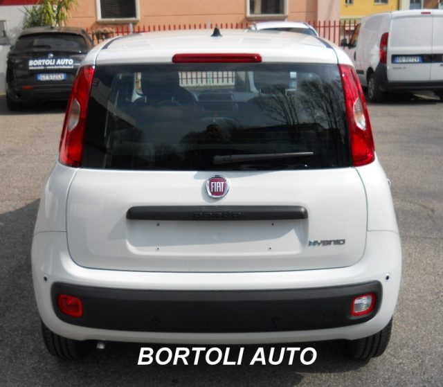 Fiat Panda KM ZERO 1.0 HYBRID VARI MODELLI DISPONIBILI - foto 4 di 4