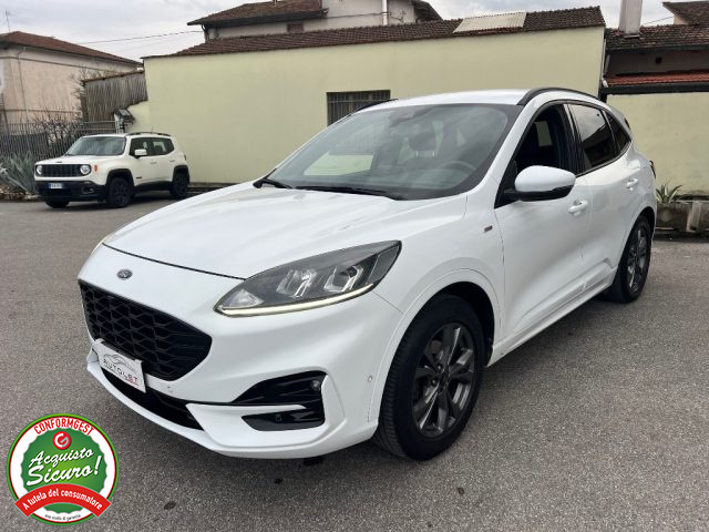 Ford Kuga 1.5 EcoBlue 120 CV 2WD ST-Line X usato a AGLIANA