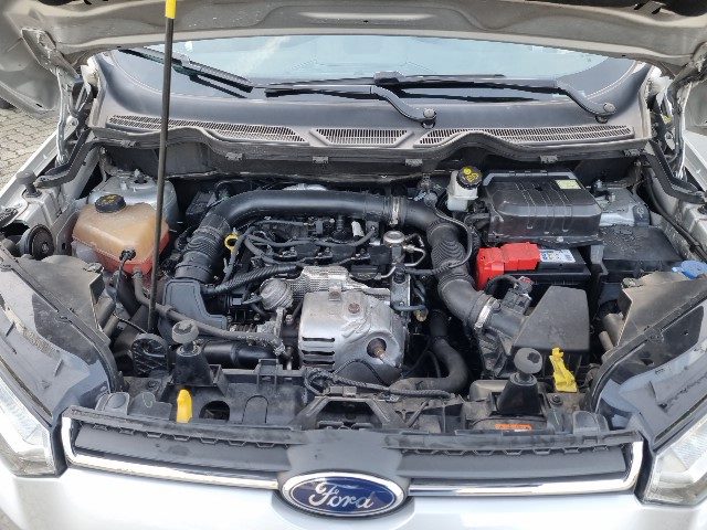 Ford EcoSport 1.0 EcoBoost 125 CV Titanium usato a SOLBIATE OLONA