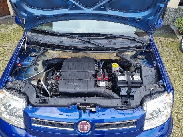 Fiat Panda 1.2 Dynamic usato a SOLBIATE OLONA