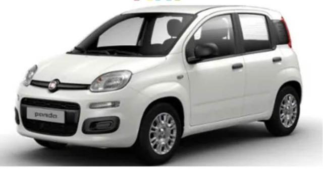 Fiat Panda 1.0 Hybrid/VARI COLORI/PRONTA CONSEGNA, in vendita a Rivarolo Canavese (TO)