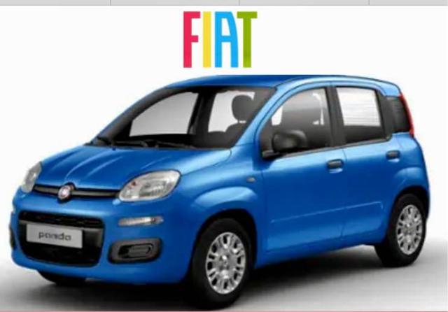 Fiat Panda 1.0 Hybrid/VARI COLORI/PRONTA CONSEGNA - foto 3 di 4