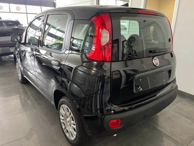 Fiat Panda 1.0 Hybrid/VARI COLORI/PRONTA CONSEGNA - foto 2 di 4