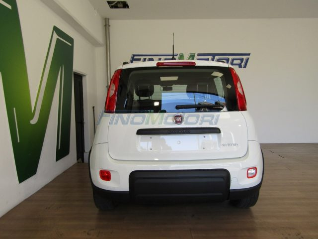 Fiat New Panda 1.0 FireFly S&S Hybrid City Life usato a FINO MORNASCO