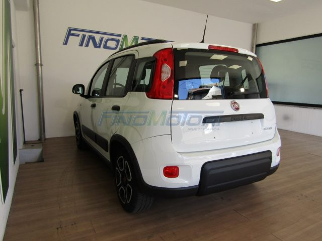 Fiat New Panda 1.0 FireFly S&S Hybrid City Life usato a FINO MORNASCO