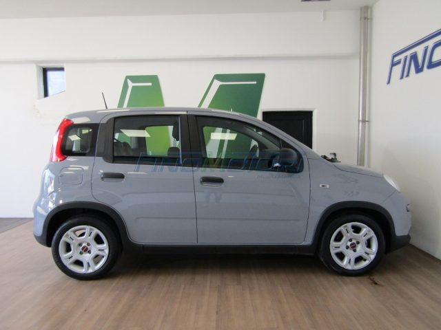 Fiat Panda 1.0 FireFly S&S city Hybrid 5 POSTI usato a FINO MORNASCO
