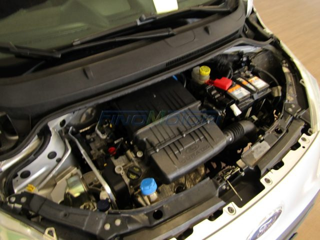 Ford Ka+ 1.2 69 CV usato a FINO MORNASCO