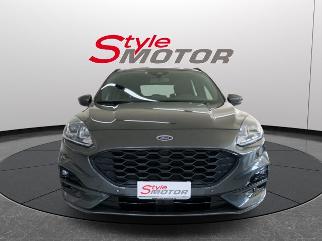 Ford Kuga 2.0 EcoBlue 120 CV aut. 2WD ST-Line usato a FANO