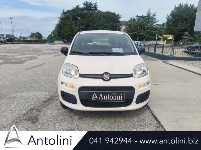 Fiat Panda 1.0 FireFly S&S Hybrid - foto 3 di 4