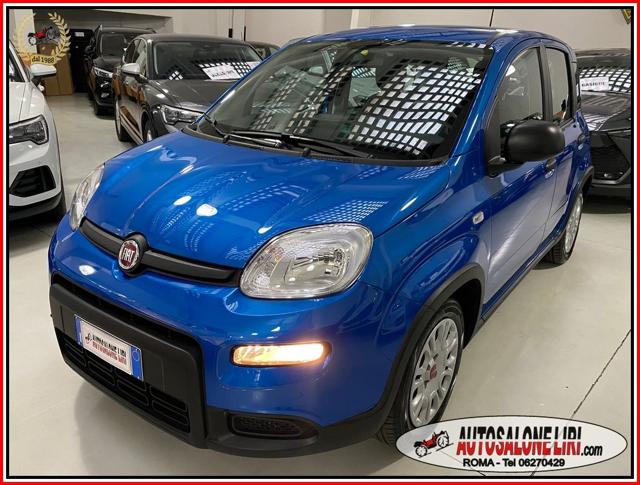 Fiat Panda 1.0 FireFly S&S Hybrid usato a ROMA