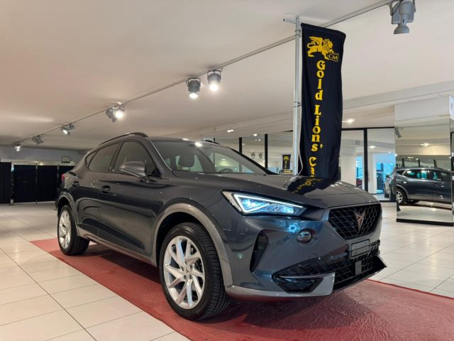 CUPRA Formentor 2.0 TDI 4Drive DSG usato a CONEGLIANO